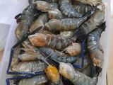 Udang Saus Asam Manis