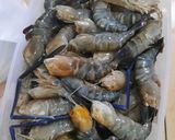Foto langkah ke 1 dari resep Udang Saus Asam Manis.
