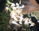 A picture of step 6 of Basil Pesto Chicken Pasta.