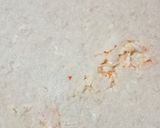 A picture of step 2 of Muli ke parathe.