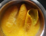 A picture of step 1 of DHOKLI in MANGO FAJETA (fusion).