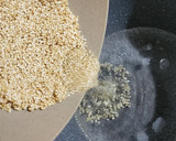 Foto del paso 2 de la receta: 🐟Medallones de merluza, quinoa y acelga al horno 🐟