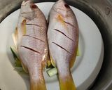 Foto langkah ke 2 dari resep Steam Ikan ala Hongkong.