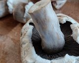 Foto del paso 1 de la receta: Portobellos gratinados