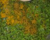 Green Peas Matar Parathas recipe step 5 photo