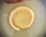 Foto del paso 1 de la receta: Natillas de suero de leche