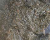 A picture of step 5 of Sarson Ka Saag and Makki Ki Roti.