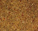A picture of step 2 of Idly milagai podi(idly gun powder).
