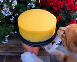 Foto del paso 10 de la receta: Tarta de queso japonesa