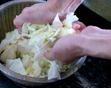 如何炒高麗菜的食譜步驟2照片