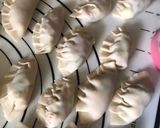 Foto langkah ke 3 dari resep Dimsum Dumpling Gyoza / Kuotie.