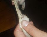Foto del paso 5 de la receta: Chinchulines Trenzados