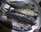 Foto langkah ke 1 dari resep Ikan Kembung Panggang.