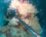 Une image de l'étape 2 de Risotto dès de jambon Parmesan.