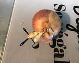 Une image de l'étape 7 de Salade de pâtes marinée aux tomates, concombre, courgette, oignon de roscoff et Lonzo.
