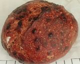 Foto langkah ke 22 dari resep Double Chocolate Sourdough Bread (82%).