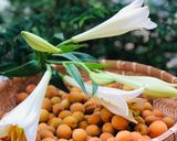 Hình bước làm 1 của món Mứt mơ