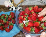 Foto del paso 4 de la receta: Cómo conservar las fresas de 3 a 4 días más