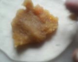A picture of step 10 of Puran poli.