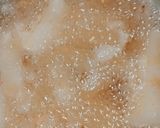 A picture of step 7 of Fried yam.