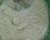 Foto langkah ke 1 dari resep Nastar keju lumer😄.