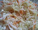 Foto del paso 1 de la receta: Ensalada Cruda de Col, zanahoria y rabanito
