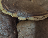 Foto del paso 4 de la receta: Tortitas de avena (sin gluten) y plátano, sin azúcar
