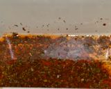 Foto del paso 3 de la receta: Costillas al horno con verduras