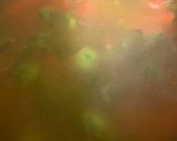 A picture of step 2 of Simple After Christmas Vegetarian Soup.