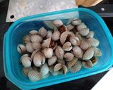 Foto langkah ke 1 dari resep Kerang Dara Kuah Asam Pedas.