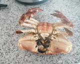 Foto del paso 1 de la receta: Buey de mar hervido estilo gallego