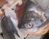 Foto langkah ke 1 dari resep Tauco ikan Kakap.
