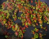 A picture of step 6 of Momos Manchurian.