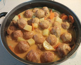 Foto del paso 8 de la receta: Albóndigas con Níscalos en Monsieur Cuisine