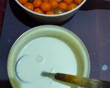 Foto langkah ke 5 dari resep Biji Salak Kolang Kaling.
