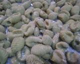 Foto del paso 4 de la receta: Ñoquis de batata 🍠🍠