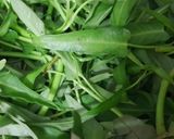 Hình bước làm 2 của món Canh xương bò nấu rau muống bắp chuối