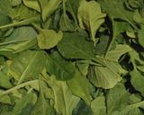 पालक दाल रेसिपी (palak daal recipe in marathi) रेसिपी स्टेप 1 फोटो 
