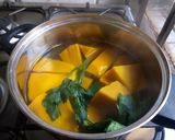 Foto del paso 1 de la receta: Crema de zapallo