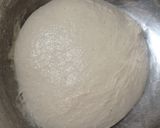 Foto langkah ke 4 dari resep Basic Sourdough Bread 72% (Open Bake Method - Oven Tangkring).
