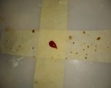A picture of step 9 of Bihari Parcels with cheesy blast.