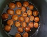 खव्याचे गुलाबजामून (khavyache gulabjammun recipe in marathi) रेसिपी स्टेप 5 फोटो 