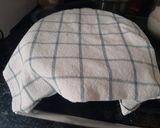 Foto del paso 4 de la receta: Pan de calabaza