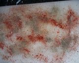 Foto del paso 1 de la receta: Esferificación de patata sobre lecho frondoso de ternera