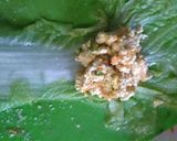 Foto langkah ke 3 dari resep Sawi Putih Gulung Isi Tahu.