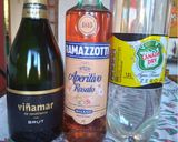 Foto del paso 1 de la receta: Ramazotti Spritz