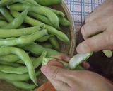 Foto del paso 1 de la receta: Como cocinar habas verdes?