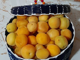 شربت زردآلو (شربت بهشتی)