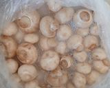 عکس مرحله 3 از دستور شستشوی فوری قارچ 🌸