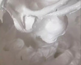 Foto del paso 5 de la receta: Merengue italiano 🍰